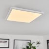 Hortinhas Plafondpaneel LED Wit, 1-licht, Afstandsbediening, Kleurwisselaar