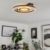 Taboneira Plafondlamp LED Natuurlijke kleuren, Zwart, Wit, 1-licht