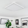 Sasinhosa Plafondpaneel LED Wit, 1-licht, Afstandsbediening