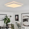Sasinhosa Plafondpaneel LED Wit, 1-licht, Afstandsbediening