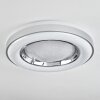 Cancinos Plafondlamp LED Zilver, Wit, 2-lichts, Afstandsbediening, Kleurwisselaar