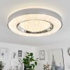 Cancinos Plafondlamp LED Zilver, Wit, 2-lichts, Afstandsbediening, Kleurwisselaar