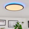 Hortinhas Plafondpaneel LED Zwart, 1-licht, Afstandsbediening, Kleurwisselaar