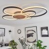 Kassambene Plafondlamp LED Antraciet, Natuurlijke kleuren, 1-licht, Afstandsbediening