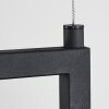 Tasan Hanglamp Zwart, 4-lichts