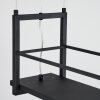 Tasan Hanglamp Zwart, 4-lichts