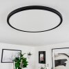Hortinhas Plafondpaneel LED Zwart, 1-licht, Afstandsbediening, Kleurwisselaar