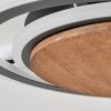 Kassambene Plafondlamp LED Antraciet, Natuurlijke kleuren, 1-licht