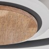 Kassambene Plafondlamp LED Antraciet, Natuurlijke kleuren, 1-licht