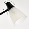 Phong Uplighter LED Zwart, 2-lichts