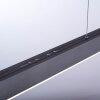 Paul Neuhaus PURE-MOTO Hanglamp LED Grijs, 3-lichts, Afstandsbediening