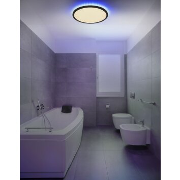 Globo SAPANA Buitenshuis plafond verlichting LED Zwart, 1-licht, Afstandsbediening, Kleurwisselaar