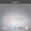 Leuchten Direkt CURLS Hanglamp LED Messing, 4-lichts