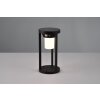 Trio Carmo Solarlamp LED Zwart, 1-licht, Bewegingsmelder