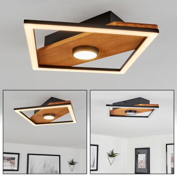 Lomnion Plafondlamp LED Natuurlijke kleuren, Zwart, 1-licht