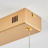 Lavaca Hanglamp LED Messing, 4-lichts