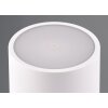 Reality Fernandez Tafellamp voor buiten LED Wit, 1-licht