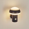 Vinara Buiten muurverlichting LED Zwart, 1-licht, Bewegingsmelder