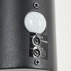 Vinara Buiten muurverlichting LED Zwart, 1-licht, Bewegingsmelder