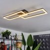 Hyacinthe Plafondlamp LED Zwart, 1-licht, Afstandsbediening