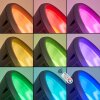 Phniet Tuinspot LED Zwart, 1-licht, Afstandsbediening, Kleurwisselaar