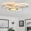 Olok Plafondlamp LED Nikkel mat, 1-licht, Afstandsbediening