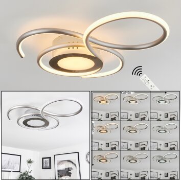 Olok Plafondlamp LED Nikkel mat, 1-licht, Afstandsbediening