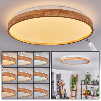 Menthonnex Plafondlamp LED Wit, 1-licht, Afstandsbediening
