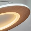Varoyang Plafondlamp LED Wit, 1-licht