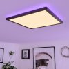 Hortinhas Plafondpaneel LED Zwart, 1-licht, Afstandsbediening, Kleurwisselaar