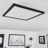 Hortinhas Plafondpaneel LED Zwart, 1-licht, Afstandsbediening, Kleurwisselaar