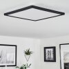 Hortinhas Plafondpaneel LED Zwart, 1-licht, Afstandsbediening, Kleurwisselaar