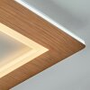 Varoyang Plafondlamp LED Wit, 1-licht