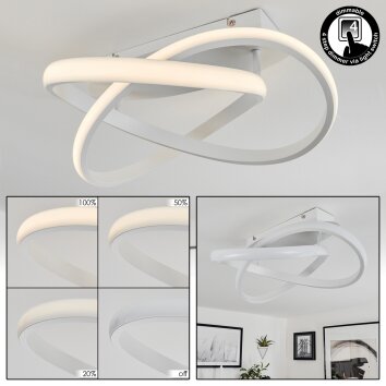 Cochato Plafondlamp LED Wit, 1-licht