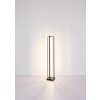 Globo FLIPS Staande lamp LED Zwart, 1-licht, Afstandsbediening