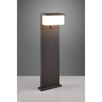 Trio Nestos Padverlichting LED Antraciet, 1-licht, Bewegingsmelder