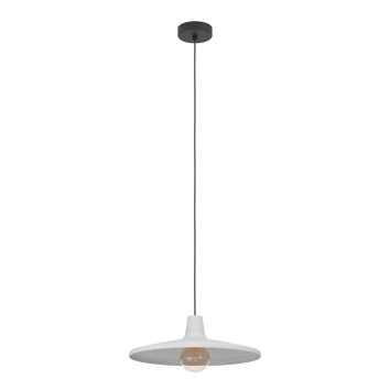 Eglo MINIERE Hanger Zwart, 1-licht