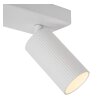 Lucide CLUBS Plafondlamp Wit, 2-lichts