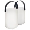 FHL easy Ciro Tafellamp voor buiten LED Wit, 1-licht, Afstandsbediening, Kleurwisselaar