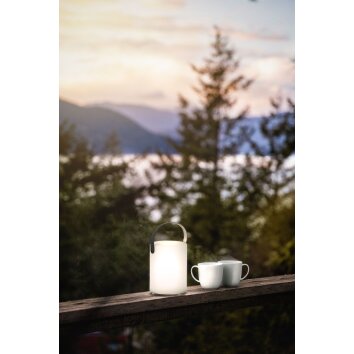 FHL easy Ciro Tafellamp voor buiten LED Wit, 1-licht, Afstandsbediening, Kleurwisselaar