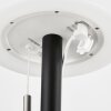 FHL easy Fiumara Tafellamp voor buiten LED Zwart, 1-licht, Afstandsbediening, Kleurwisselaar