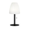 FHL easy Fiumara Tafellamp voor buiten LED Zwart, 1-licht, Afstandsbediening, Kleurwisselaar