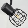 Piment Plafondlamp Zwart, 1-licht