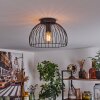 Gourel Plafondlamp Zwart, 1-licht