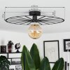 Carqueja Plafondlamp Zwart, 1-licht