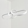 Dauntey Hanglamp LED Wit, 1-licht