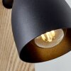 Brilliant Daintree Muurlamp Natuurlijke kleuren, Zwart, 1-licht