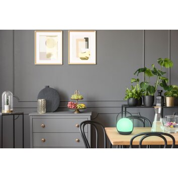 Lutec Cardi Tafellamp voor buiten LED Zwart, Wit, 1-licht, Kleurwisselaar