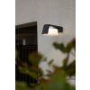 Lutec Moon Buiten muurverlichting LED Antraciet, 1-licht