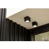 Lutec Gemini Buitenshuis plafond verlichting LED Antraciet, 1-licht